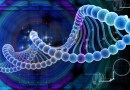 Digital DNA for corporations