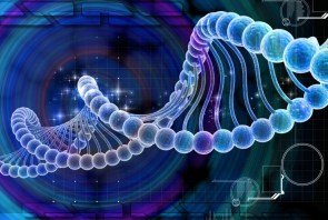 Digital DNA for corporations