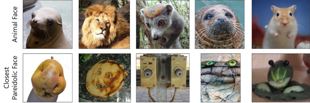 AI pareidolia: Can machines spot faces in inanimate objects?
