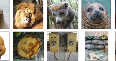 AI pareidolia: Can machines spot faces in inanimate objects?