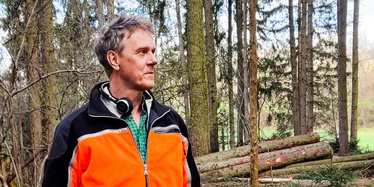 Job title of the future: Digital forest ranger - MIT Technology Review ...