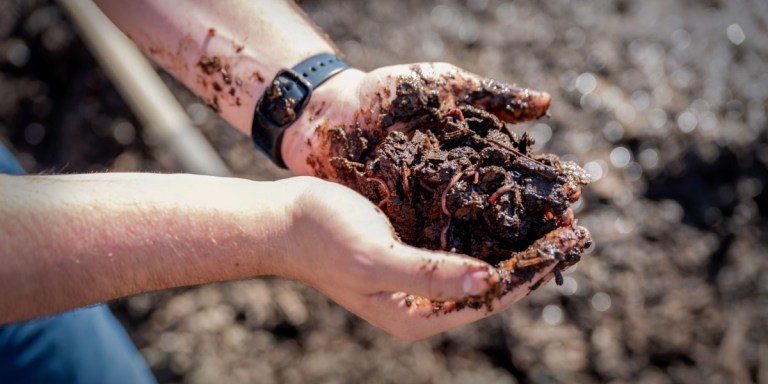 The Download: worms fight pollution, and geoengineering faces reality – MIT Technology Review